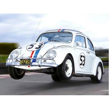 Placa Decorativa - Herbie